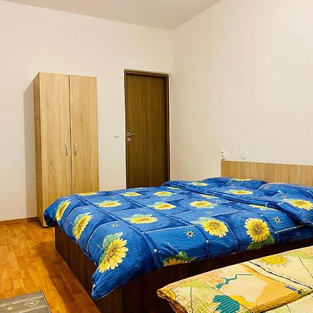 Hotel Casa Victoria à Cîrţişoara Extérieur photo